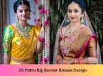 Pattu Big Border Blouse Design