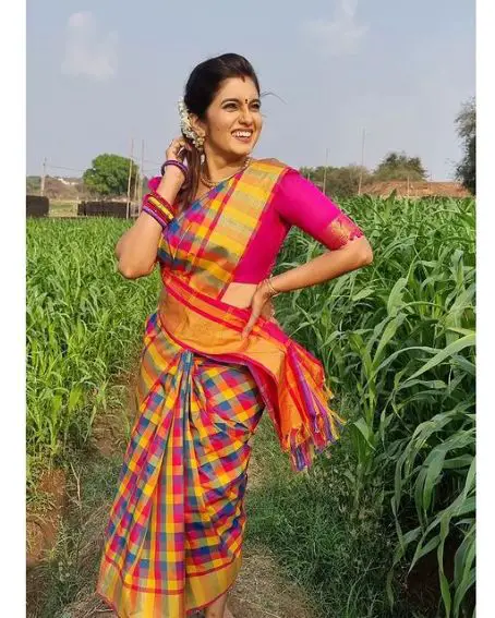 Pink Multicolored Checked Saree Blouse Design