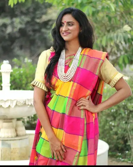 Pleated Multicolored Checked Saree Blouse Design