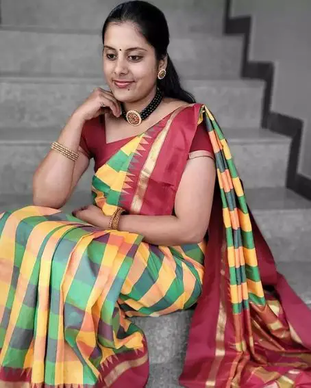 Small Border Multicolored Checked Saree Blouse Design