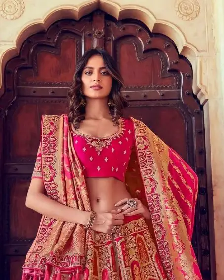 Vegan Silk Modern Banarasi Lehenga Blouse Design