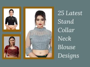 Latest Stand Collar Neck Blouse Designs