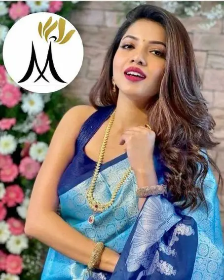 Blue Soft Silk Silver Zari Saree with Sleeveless Blouse
