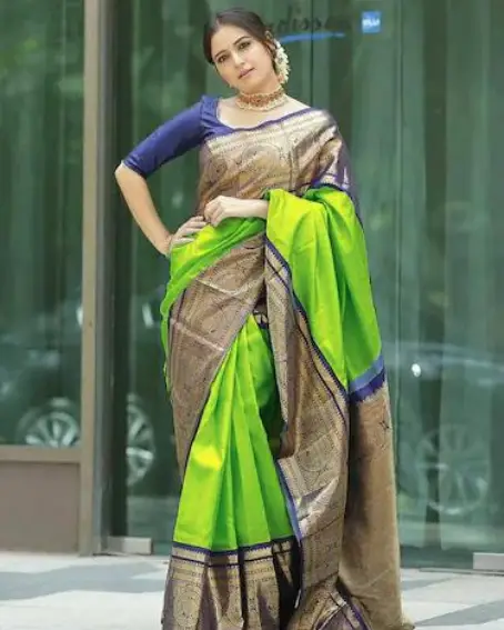 Fluorescent Green Gold Bordered Banarasi Saree With Blouse