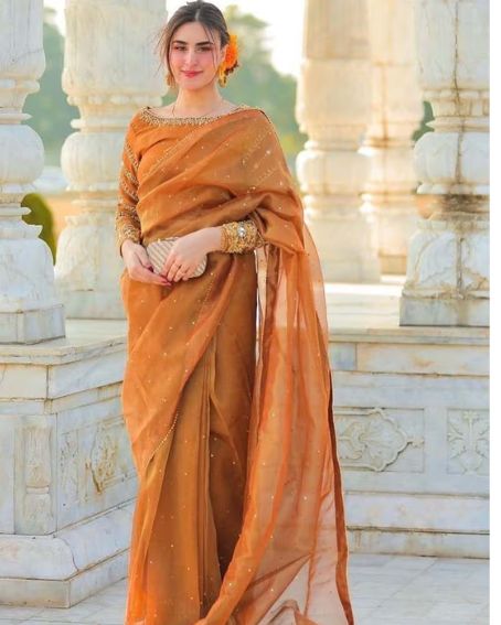 Orange Color Organza Silk Plain Saree With Fully Worked Base Designer Blouse