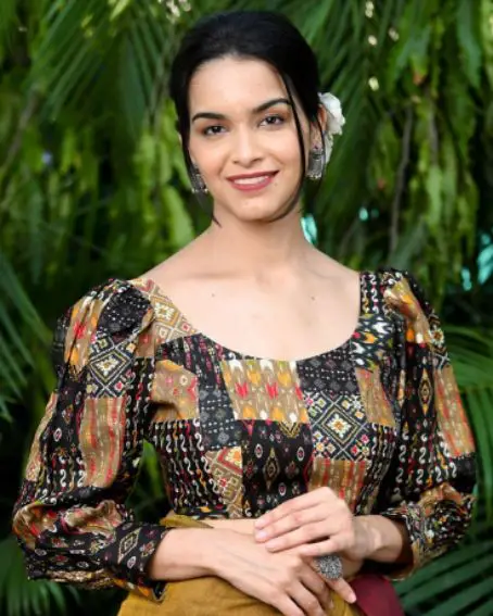 Printed Round Neck Puff Sleeves Cotton Saree Blouse