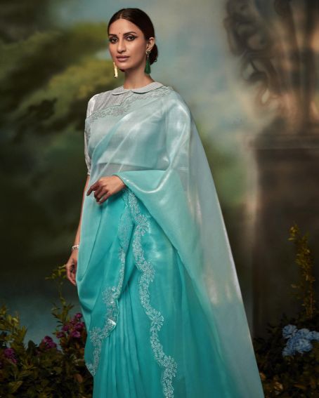 Pure Organza Saree Online With Embroidery And Silk Blouse