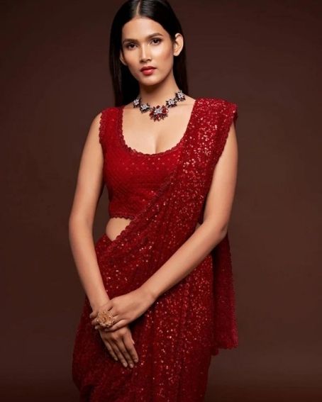 Red Sequins Sari Party Wear Glitter Shimmer Festive Designer Saree Blouse