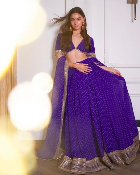 Violet Lehenga Blouse Design