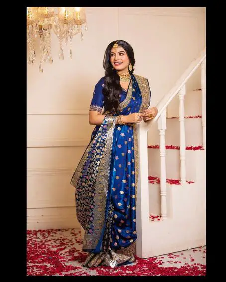 Blue All Over Design Fancy Saree With Embroidery Blouse