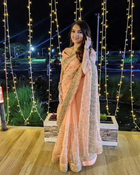 Embodied in Peach Georgette Saree