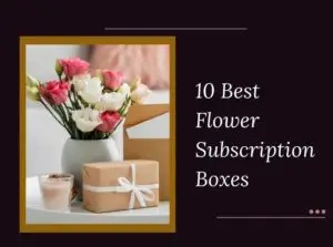 Flower Subscription Boxes