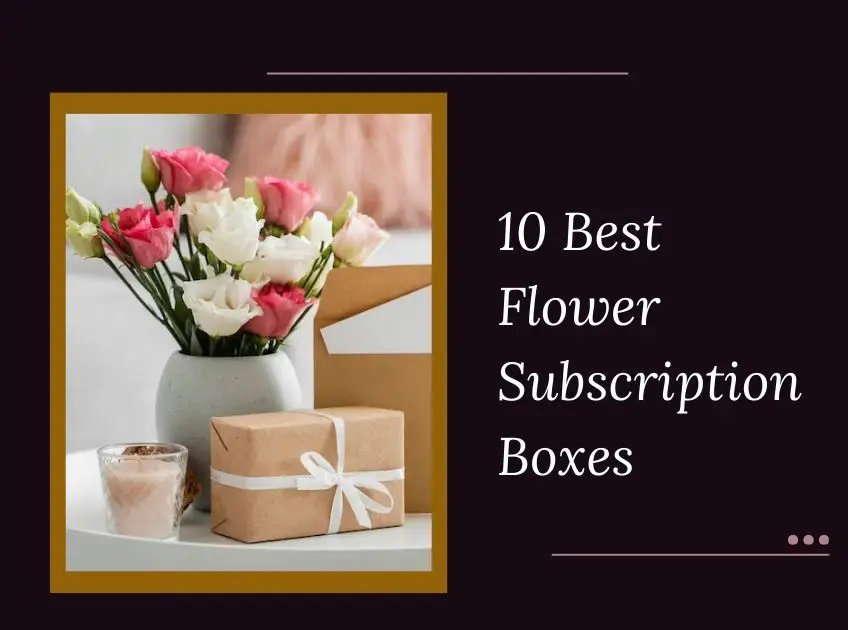 Flower Subscription Boxes