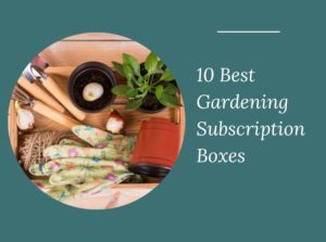 Gardening Subscription Boxes