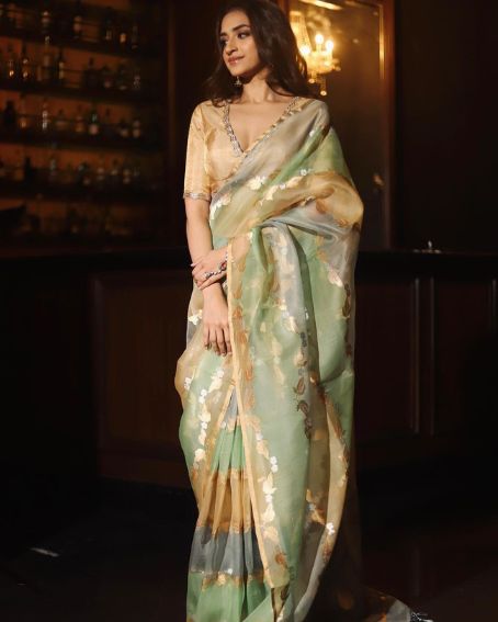 Gold Blouse With organza sarees beam With color And design