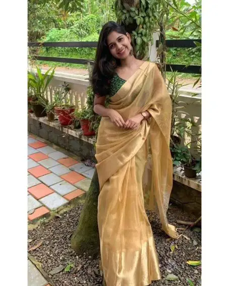 Gold/Silver Tissue Saree