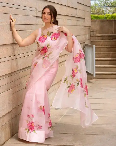 Hand-painted Pastel Pink Shade Organza Saree