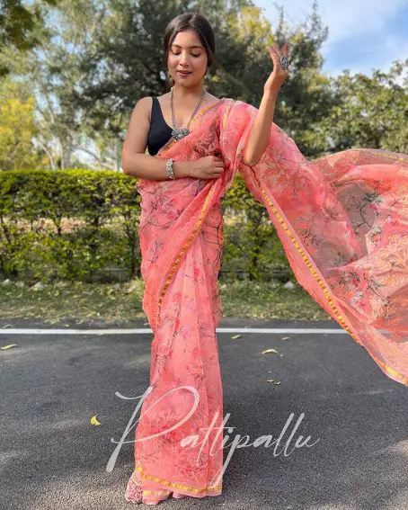 Organza Floral Digital Print Embroidery work saree