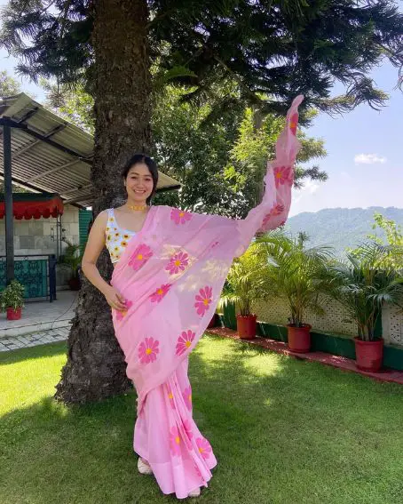 Pink Hand-painted Chiffon Saree