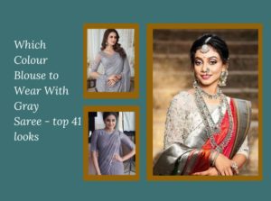 Which Colour Blouse to Wear With Gray Saree top 41 looks