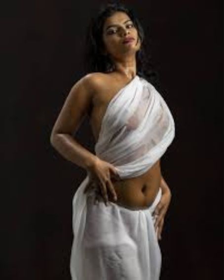White Transparent Saree without Blouse