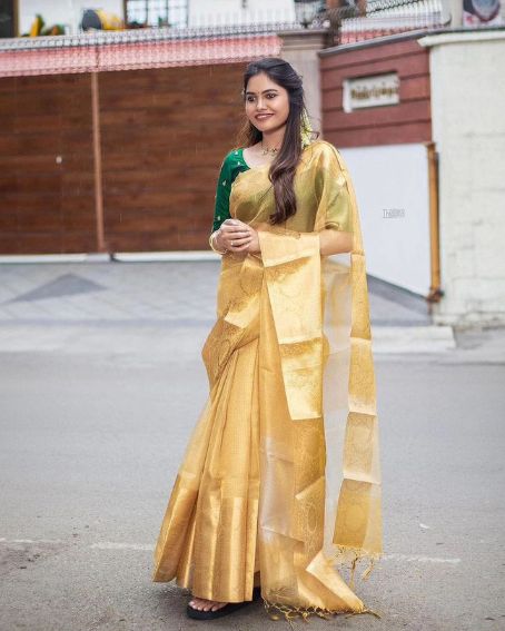 Banarasi Silk Tissue Sarees