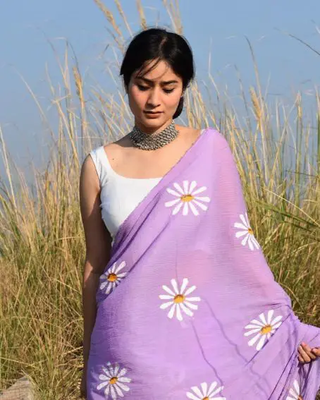 Lavender Hand Painted Chiffon Saree